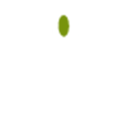 Dansk International Bosætningsservice logo